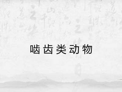 啮齿类动物