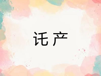 讬产