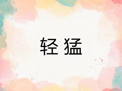 轻猛