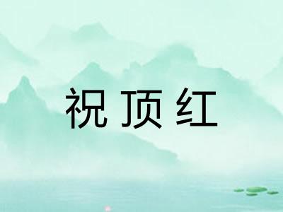 祝顶红