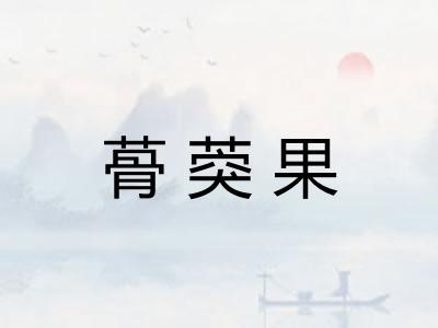 蓇葖果