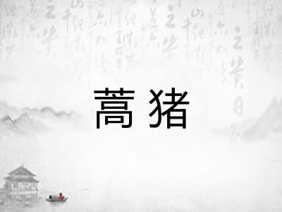蒿猪