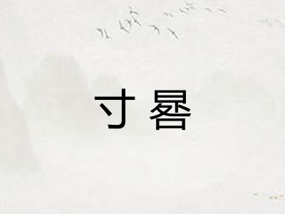 寸晷