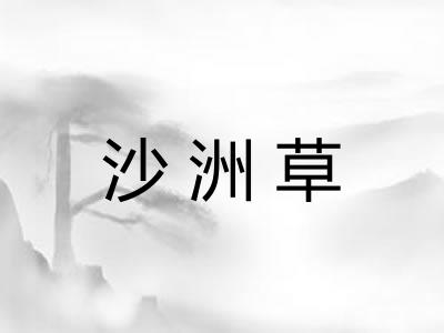 沙洲草