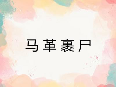 马革裹尸