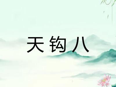 天钩八