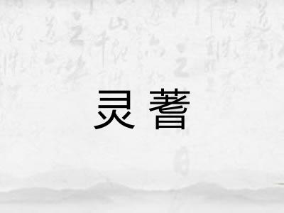 灵蓍