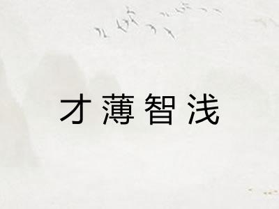 才薄智浅