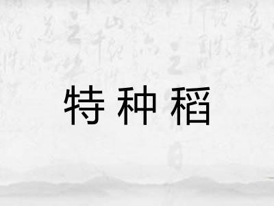 特种稻