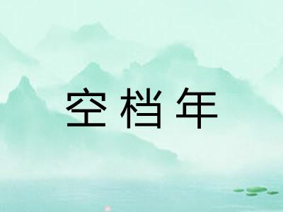 空档年