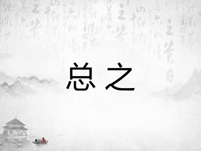 总之