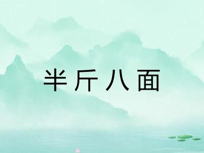半斤八面