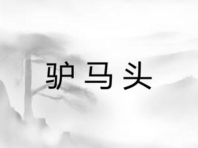 驴马头