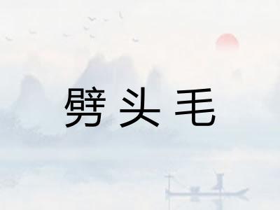 劈头毛