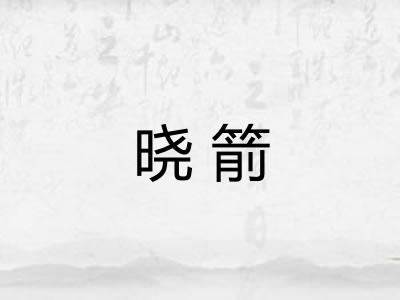 晓箭