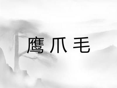鹰爪毛