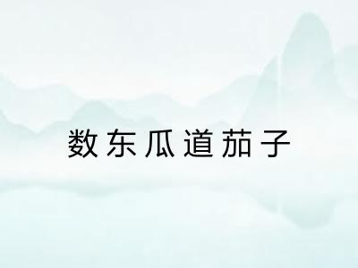 数东瓜道茄子