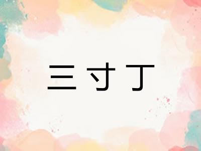 三寸丁
