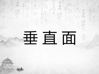 垂直面