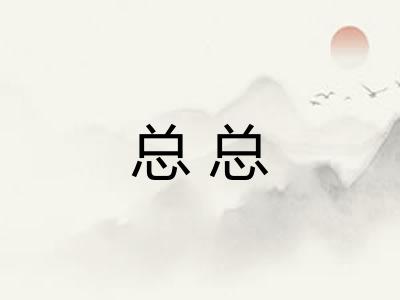 总总