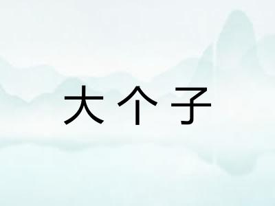 大个子
