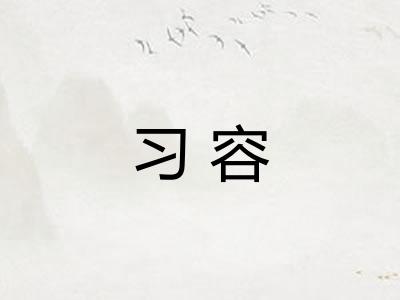 习容