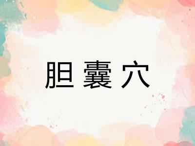胆囊穴