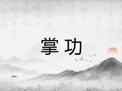 掌功