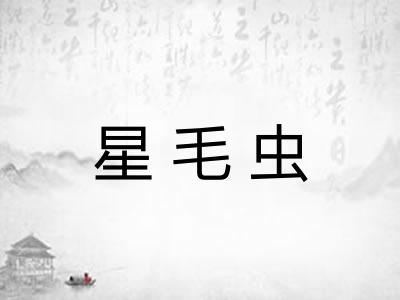 星毛虫