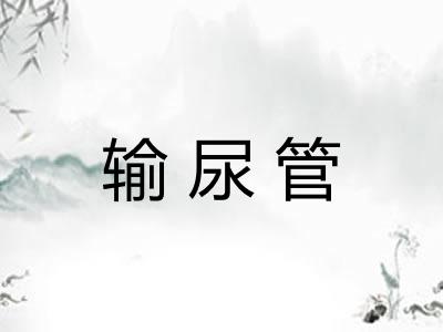 输尿管