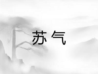 苏气