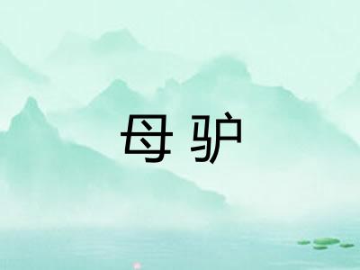 母驴