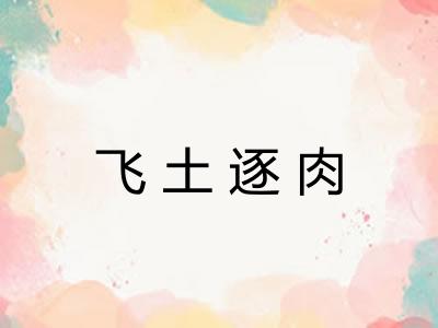 飞土逐肉