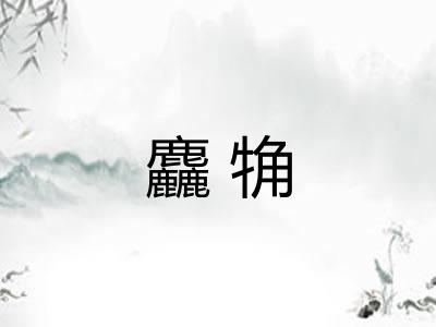 麤觕