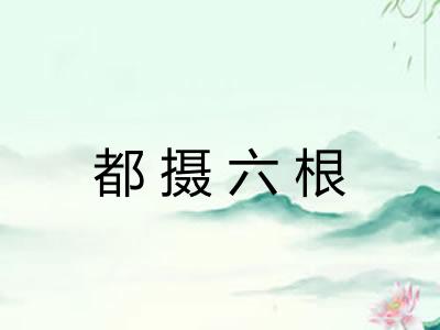 都摄六根