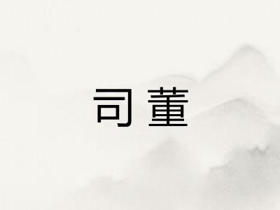 司董