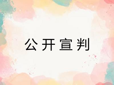 公开宣判