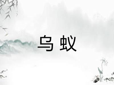 乌蚁