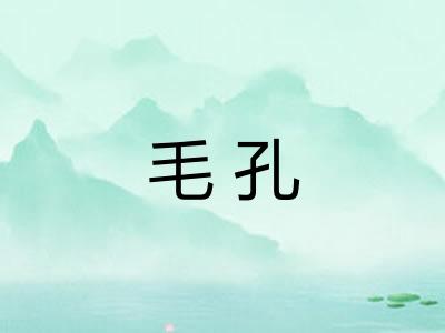 毛孔