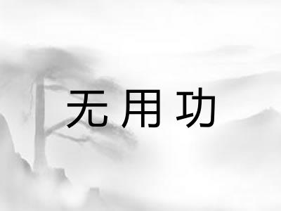 无用功