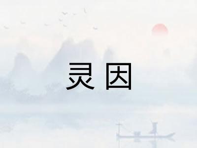 灵因