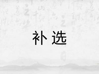 补选