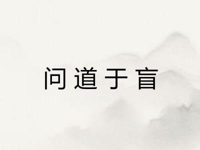 问道于盲