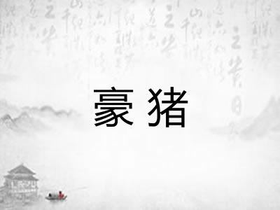 豪猪