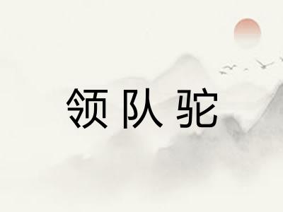 领队驼