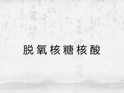 脱氧核糖核酸