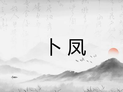 卜凤