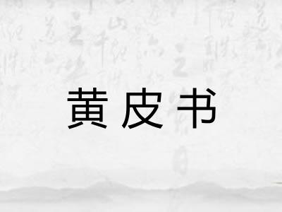 黄皮书