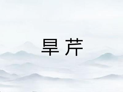 旱芹
