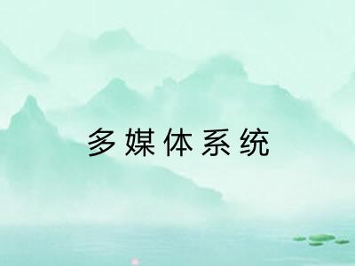 多媒体系统